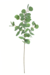 LIU539##POWDER GREEN#1_m