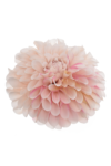 DES008#4#POWDER PINK_m