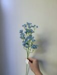 IMG_0833