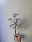 IMG_0849