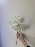 IMG_0854