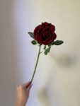 IMG_2999