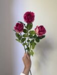 IMG_3016