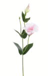 SUN357#2296#PEARL PINK#1_m