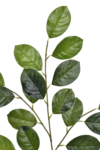 GREE024##LT GREEN#1_m