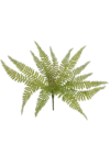 JUN086##GREEN#1_m